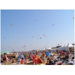 Cervia 2009