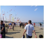 Cervia 2009