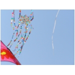 Cervia 2009