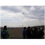 Cervia 2009