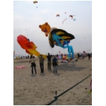 Cervia 2009