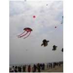 Cervia 2009