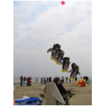 Cervia 2009