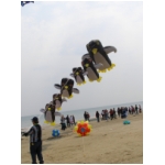 Cervia 2009