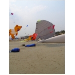 Cervia 2009