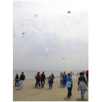 Cervia 2009