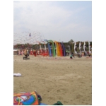 Cervia 2009