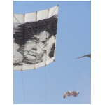 Cervia 2009