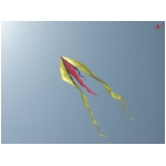 San Benedetto 2009