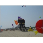 San Benedetto 2009