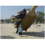 San Benedetto 2009
