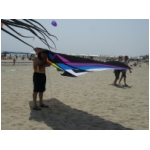 San Benedetto 2009