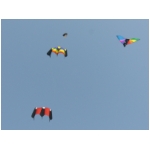 San Benedetto 2009