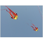 San Benedetto 2009