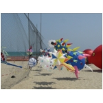 San Benedetto 2009