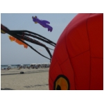 San Benedetto 2009