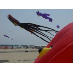 San Benedetto 2009