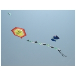 San Benedetto 2009