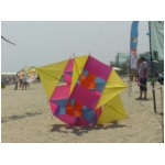 San Benedetto 2009
