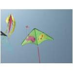 San Benedetto 2009