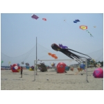 San Benedetto 2009