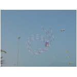 San Benedetto 2009