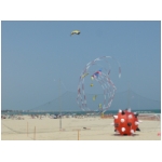 San Benedetto 2009