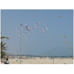 San Benedetto 2009