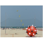 San Benedetto 2009