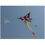 San Benedetto 2009