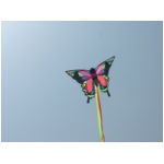 San Benedetto 2009