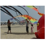 San Benedetto 2009