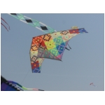 San Benedetto 2009