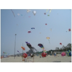 San Benedetto 2009