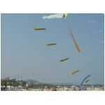 San Benedetto 2009