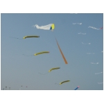 San Benedetto 2009
