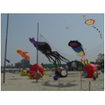 San Benedetto 2009