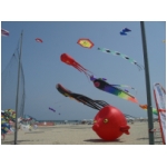 San Benedetto 2009