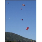 Quarrata 2009