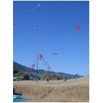 Quarrata 2009
