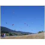 Quarrata 2009