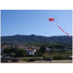 Quarrata 2009