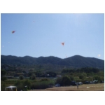 Quarrata 2009