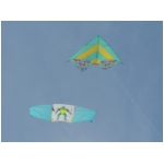 SAN BENEDETTO 2010