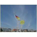 SAN BENEDETTO 2010